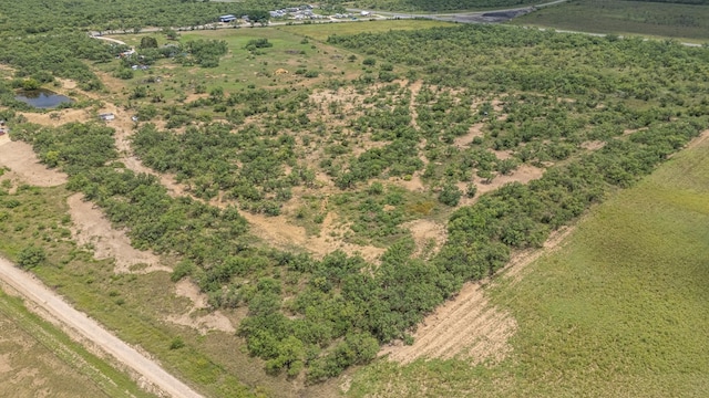 TBD Fm 2131, Coleman, TX 76834 - photo 5