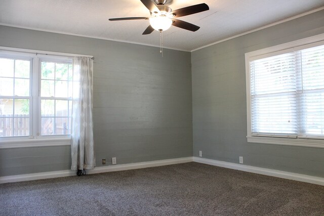 844 Hickory St, Colorado City, TX 79512 - photo 28