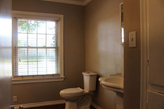 844 Hickory St, Colorado City, TX 79512 - photo 24