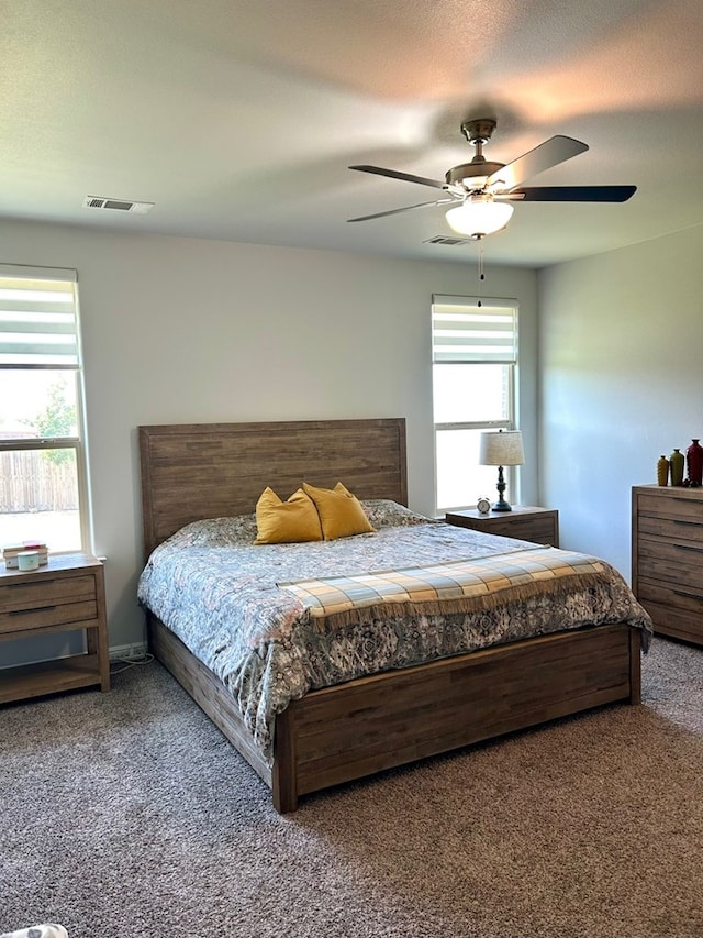 7103 Mcpherson Ln, Midland, TX 79706 - bedroom with carpet and ceiling fan