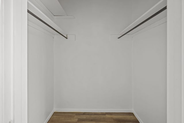 spacious closet featuring dark wood-type flooring