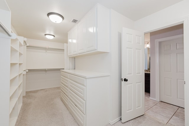 spacious closet with light carpet