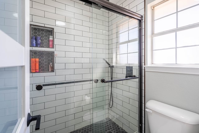 full bathroom with toilet and a shower stall