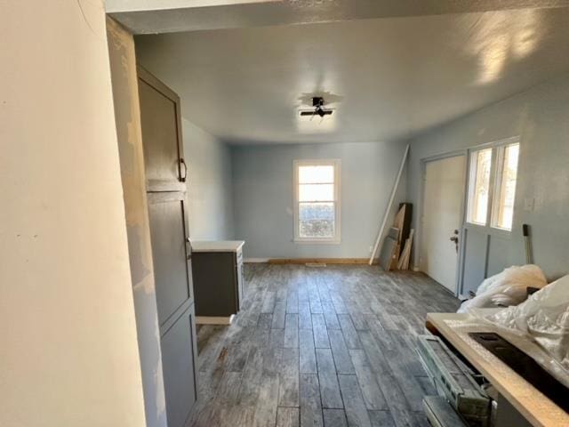 additional living space featuring dark hardwood / wood-style flooring