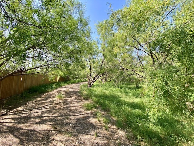 910 Culp Ave, Coahoma, TX 79511 - view of road