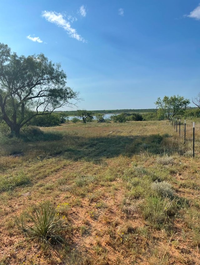 00 Lcr 175, Colorado City TX, 79512 land for sale