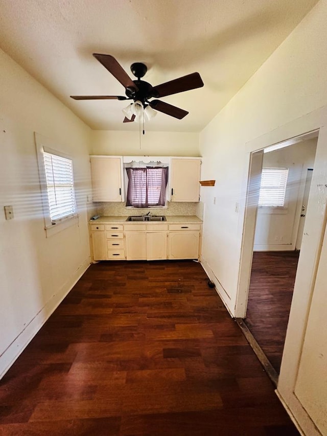 kitchen featuring sink, backsplash, dark hardwood / wood-style flooring, and a wealth of natural light