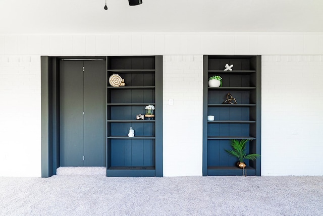 4604 Versailles Dr, Midland, TX 79703 - detailed view of carpet floors and built in features
