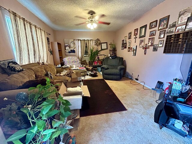 809 W Hornbeck Blvd, Fort Stockton, TX 79735 - photo 3