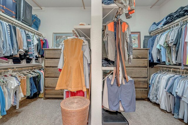 spacious closet with carpet floors