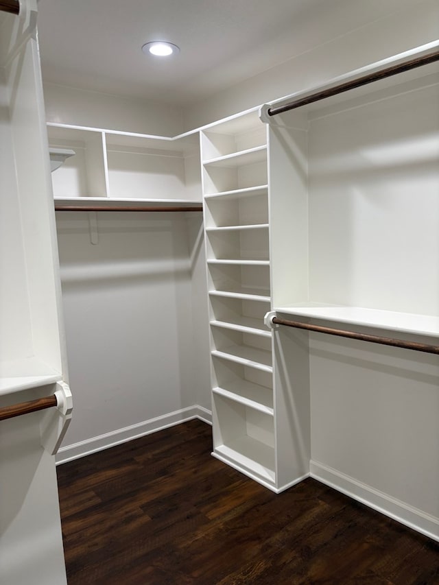 spacious closet with dark wood-type flooring