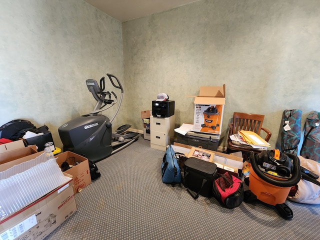 miscellaneous room with carpet flooring