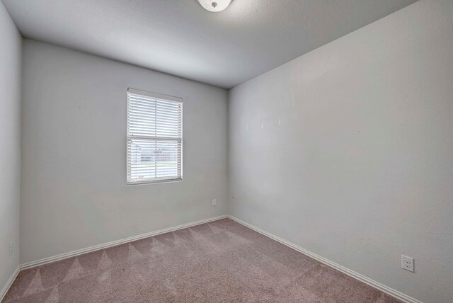 spare room featuring carpet and baseboards