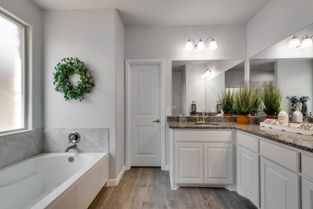 bathroom featuring vanity, a garden tub, and wood finished floors