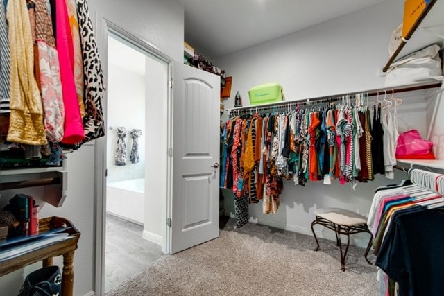 spacious closet with carpet