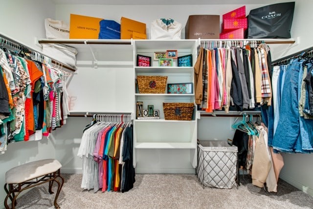 spacious closet featuring carpet flooring