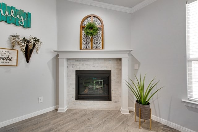 details featuring a glass covered fireplace, crown molding, baseboards, and wood finished floors