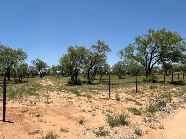 view of local wilderness featuring a rural view