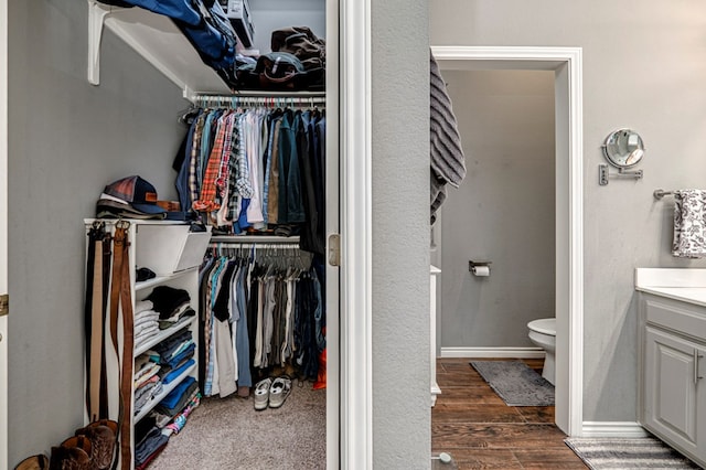 bathroom featuring wood finished floors, toilet, a walk in closet, and vanity