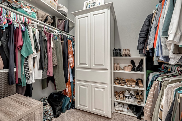 spacious closet featuring carpet flooring