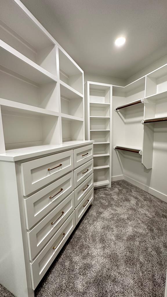 spacious closet with dark colored carpet