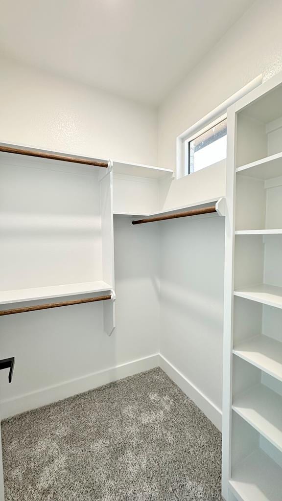 spacious closet featuring carpet