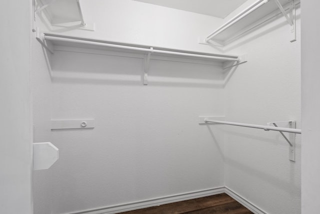 walk in closet featuring wood-type flooring