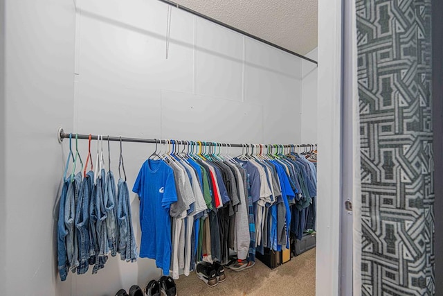 50031 E County Rd 71, Midland, TX 79705 - walk in closet with carpet
