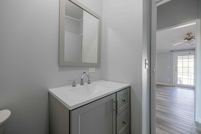 50031 E County Rd 71, Midland, TX 79705 - bathroom featuring vanity and wood finished floors