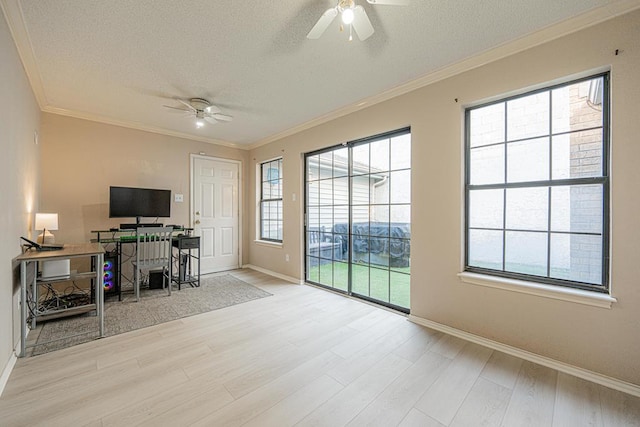 office featuring a textured ceiling, crown molding, ceiling fan, and light hardwood / wood-style flooring