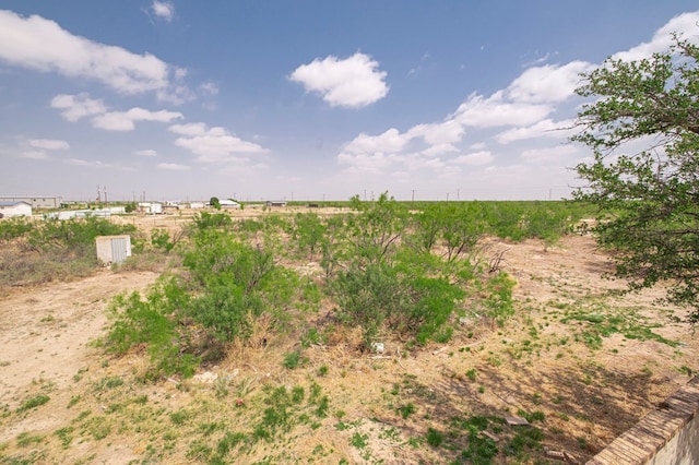 view of local wilderness with a rural view