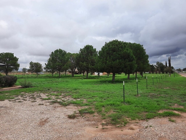 view of community featuring a rural view and a lawn