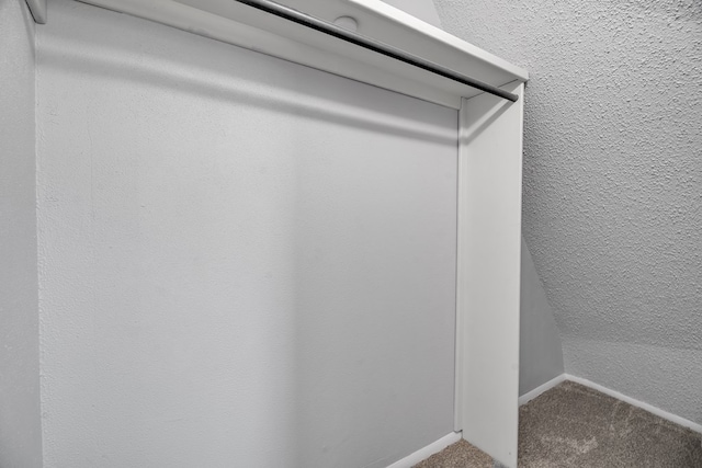 spacious closet featuring carpet