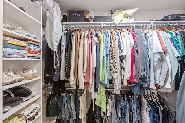 view of walk in closet