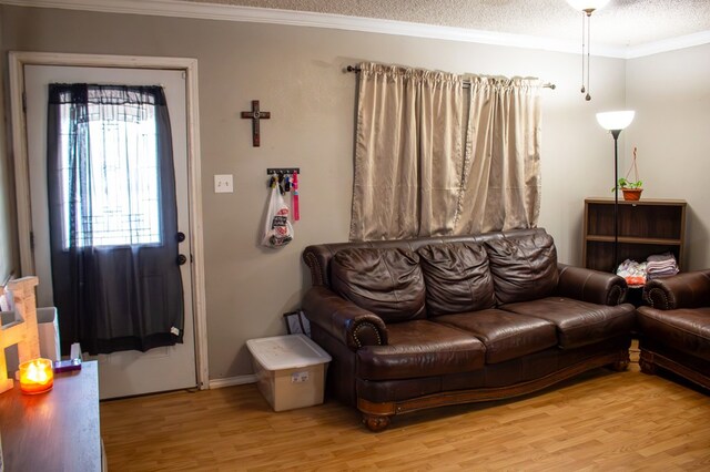 504 N 1st, Coahoma, TX 79511 - photo 6