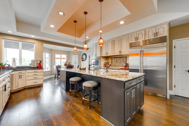 kitchen with dark hardwood / wood-style floors, stainless steel appliances, an island with sink, and a tray ceiling