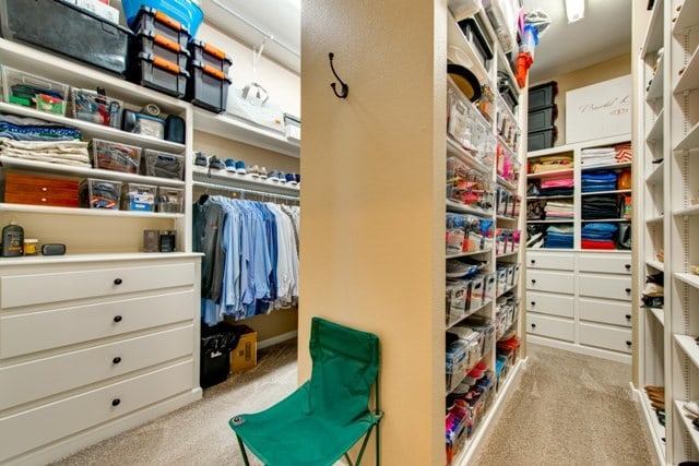 spacious closet with light colored carpet