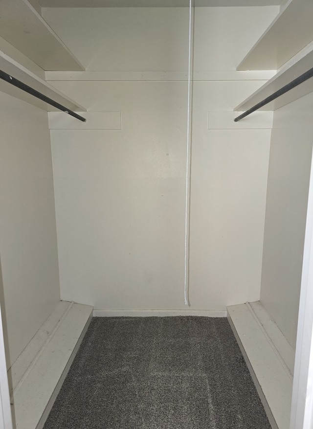 walk in closet featuring dark carpet