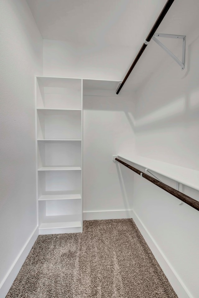 walk in closet featuring carpet flooring