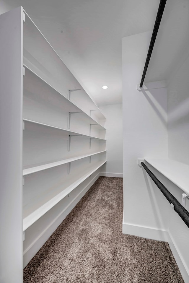 spacious closet featuring carpet