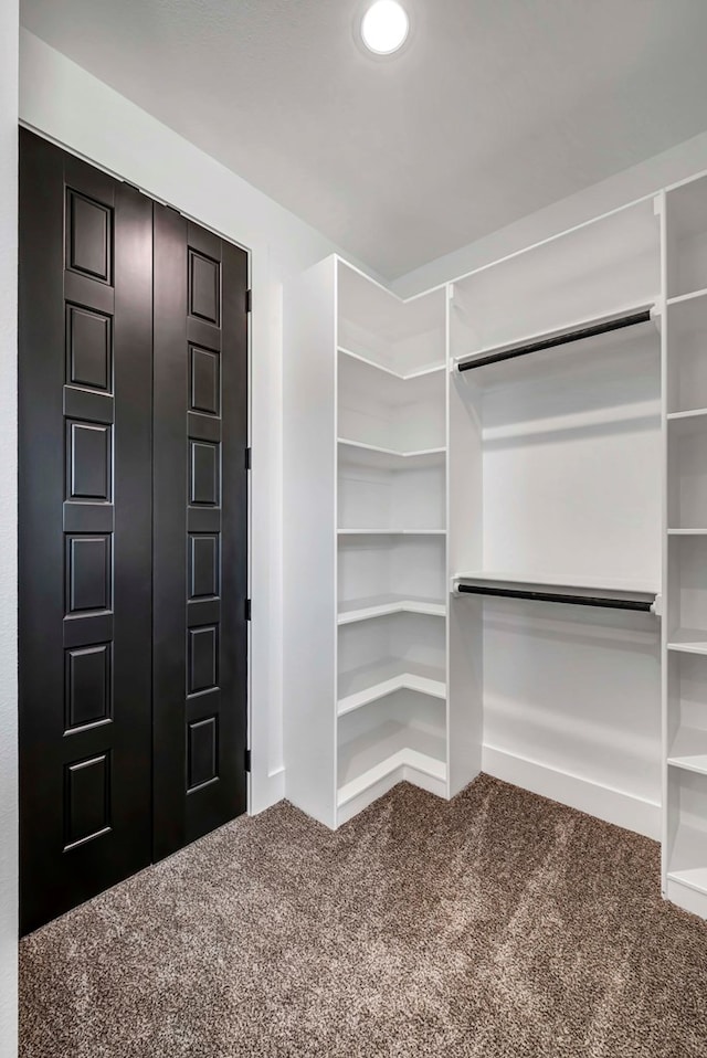 spacious closet with carpet