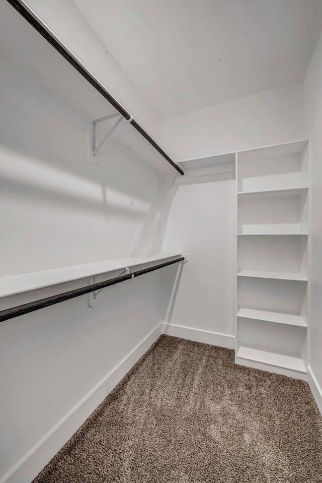 walk in closet featuring carpet