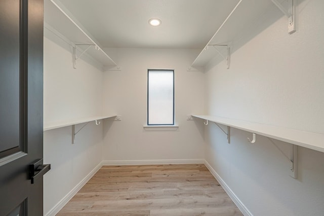 spacious closet featuring light hardwood / wood-style flooring