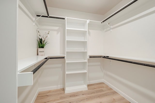 walk in closet featuring light hardwood / wood-style flooring