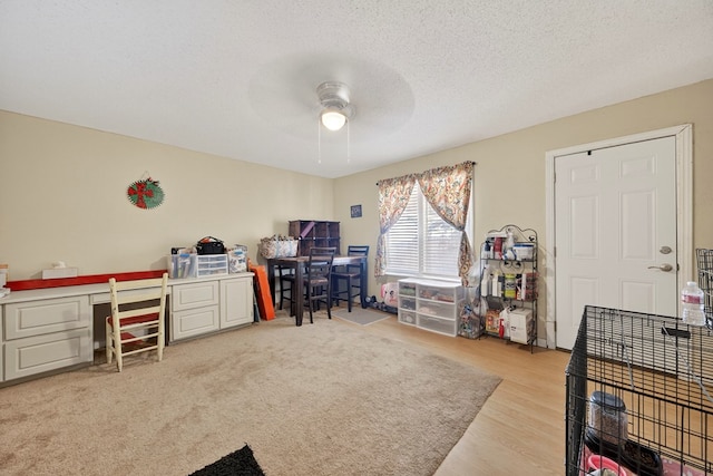 2421 State Highway 137, Stanton, TX 79749 - photo 48