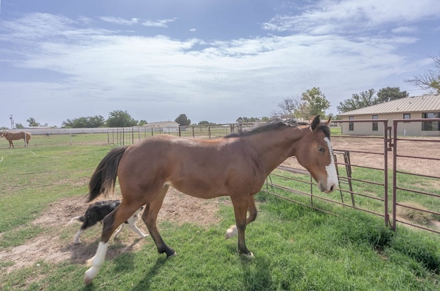 view of horse barn featuring a rural view