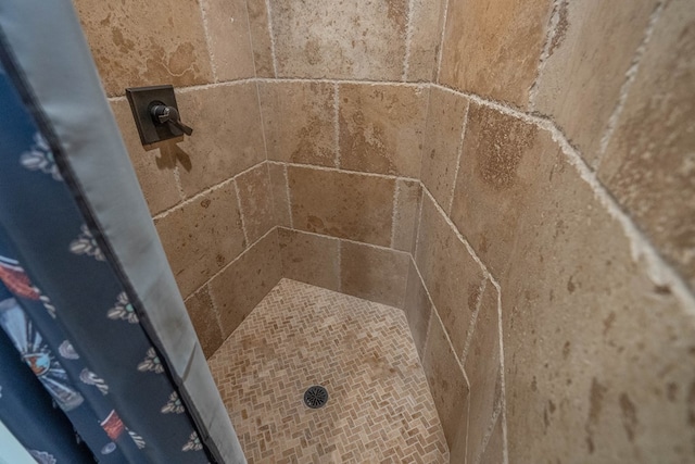 interior details featuring tiled shower
