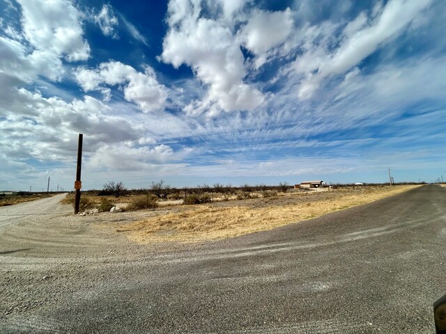 735 Gordon Alexander Rd, Fort Stockton, TX 79735 - photo 3