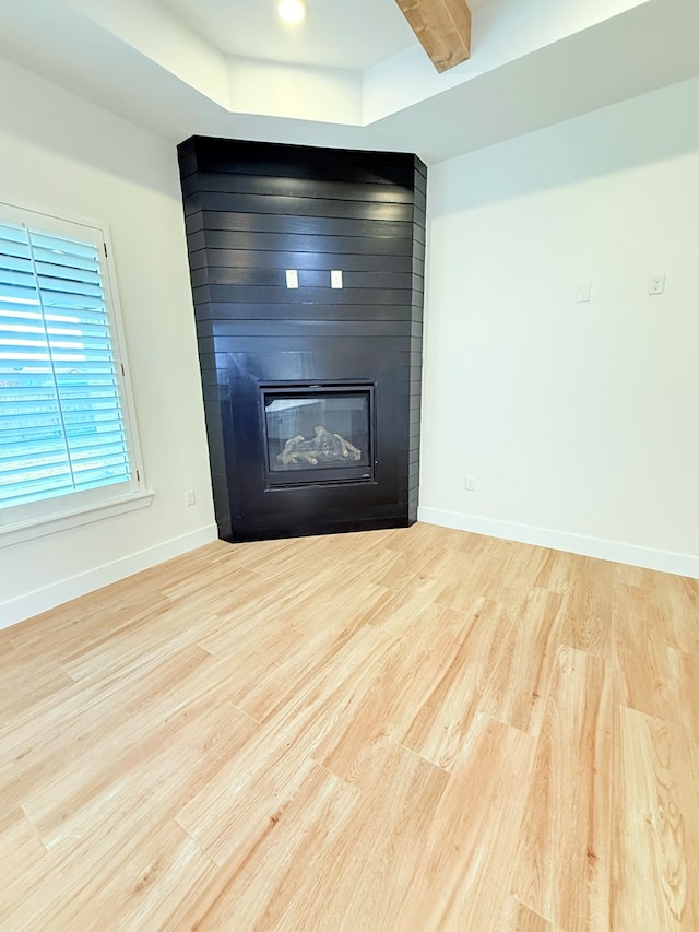 room details with hardwood / wood-style flooring, a large fireplace, and a raised ceiling