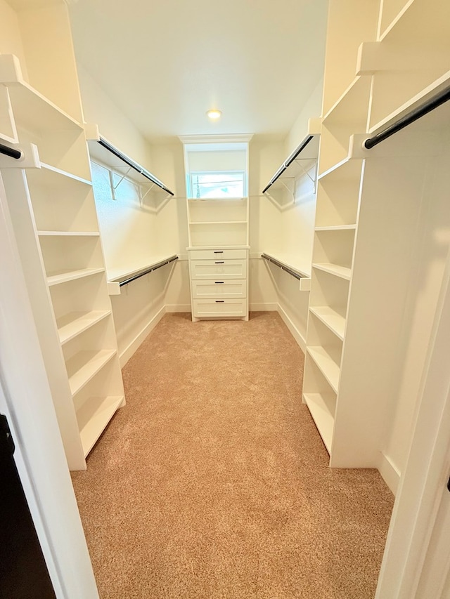 spacious closet with light colored carpet